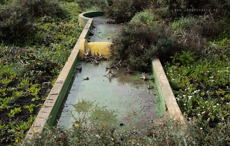 Mini Golf II - Lost Place, Canary Islands