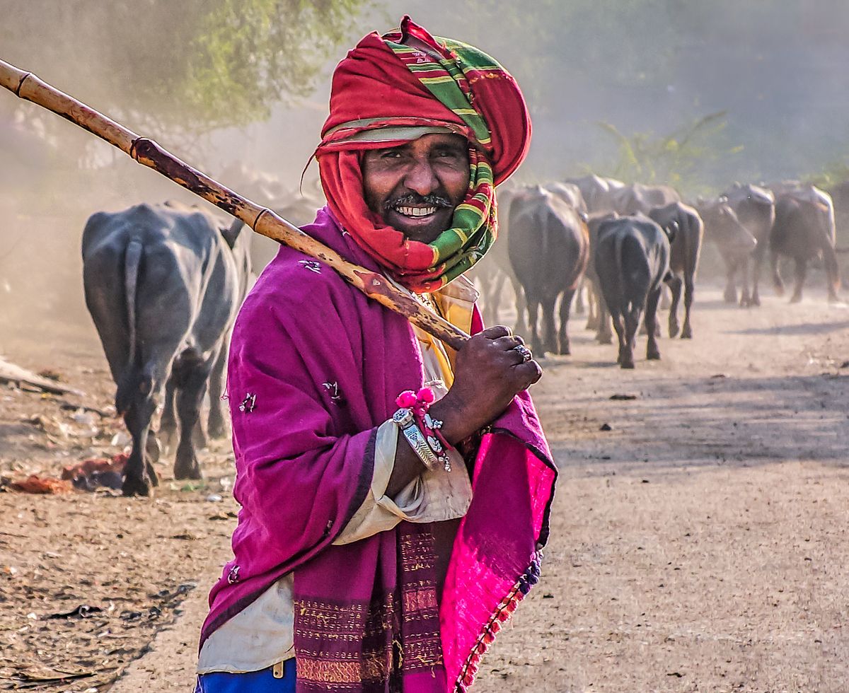 Ron Gesser Photography | Gallery of Rajasthan and Gujurat