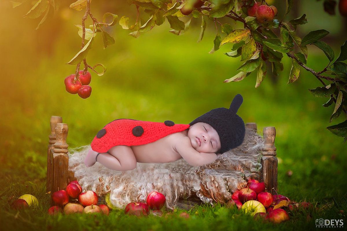 Lady bug newborn shoot in Delhi
