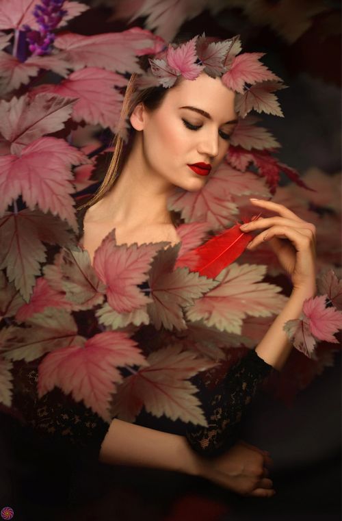 Who knows what secrets fairies like to keep