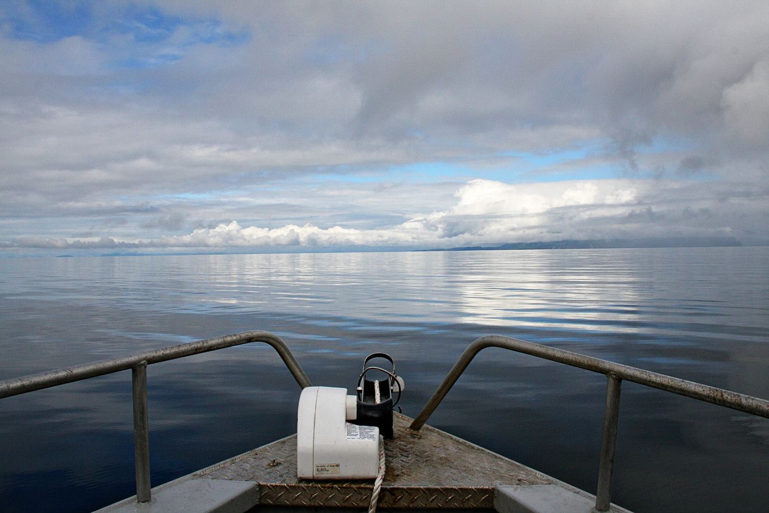 Joy Collective Photography