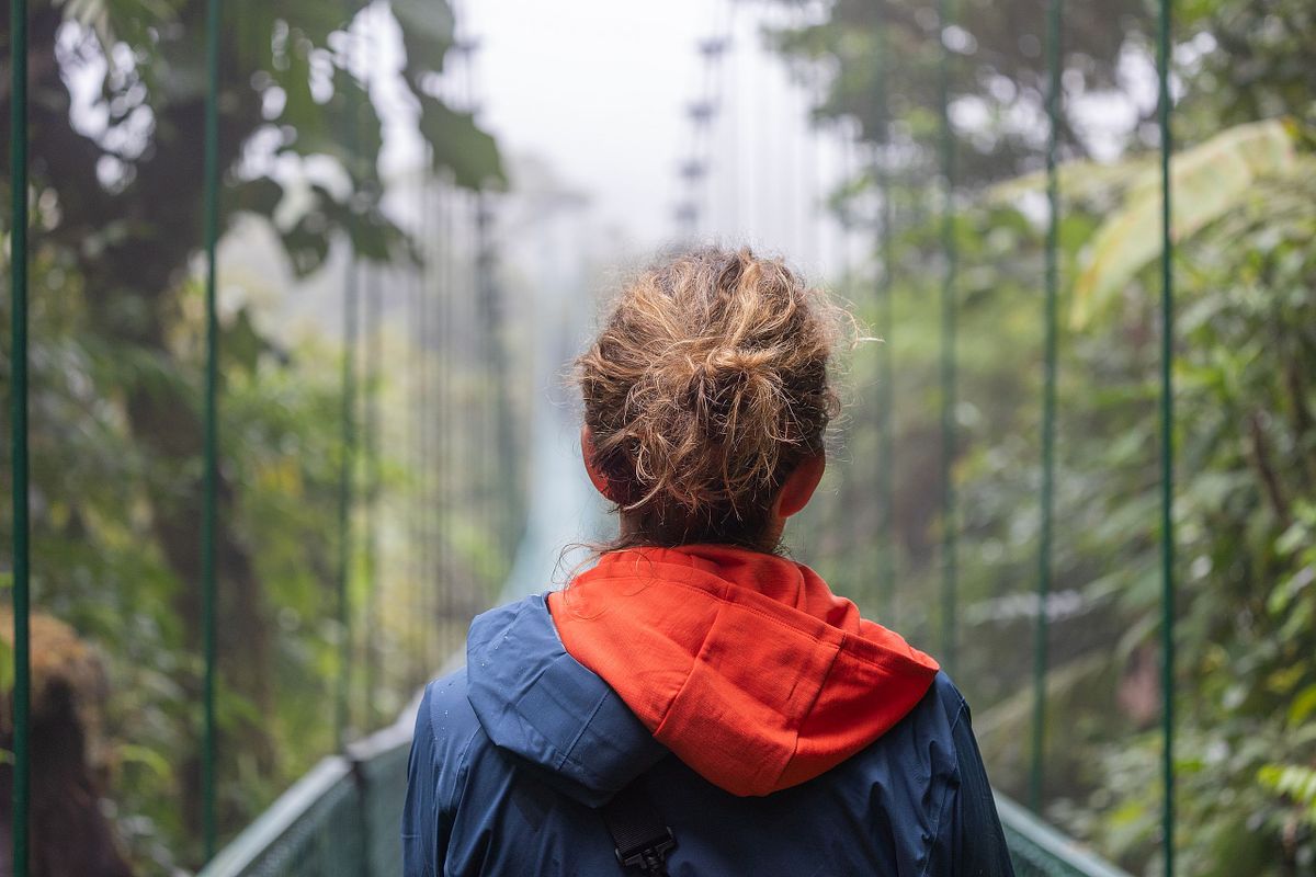 Person sedd bakifr&aring;n p&aring; en h&auml;ngbro genom t&auml;t gr&ouml;n regnskog i dimmigt ljus.