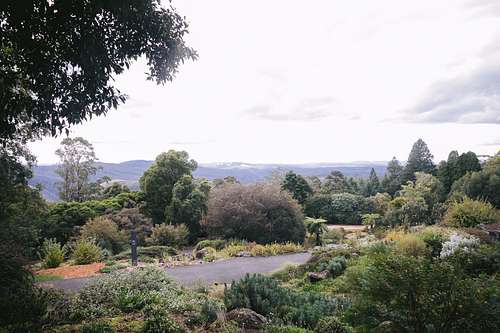 Wedding Ceremony at Blue Mountains Botanic Garden Mount Tomah