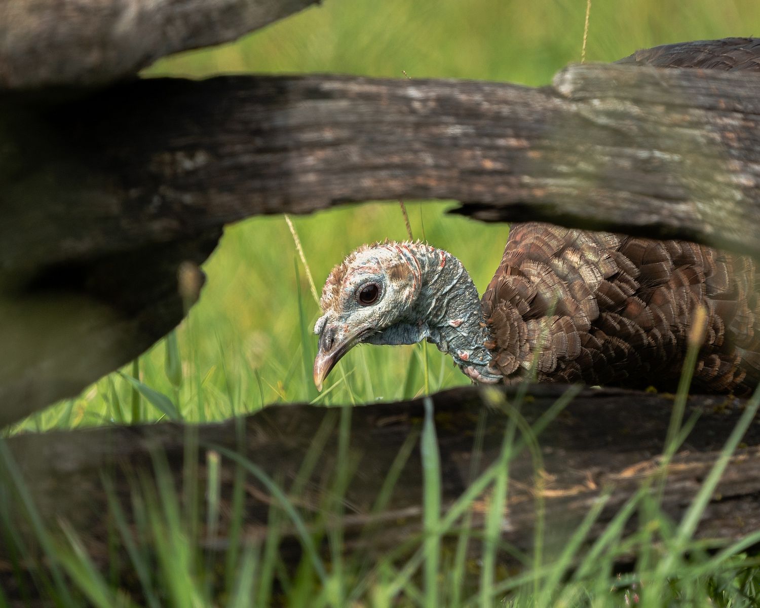 John Mauser Photography