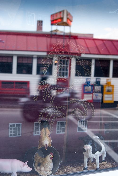 Motorcycle passing by a classic New England diner, reflected in the window featuring small toy farm animals in Milford, New Hampshire.