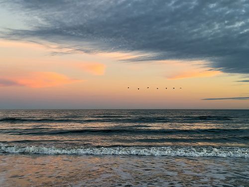 Evening Flight Over Folly