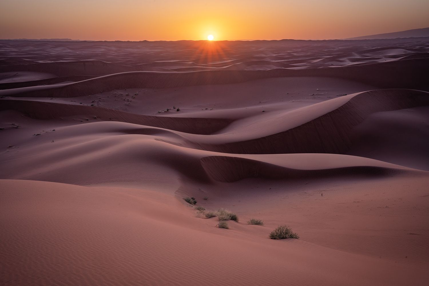 Agnes Anna Photography