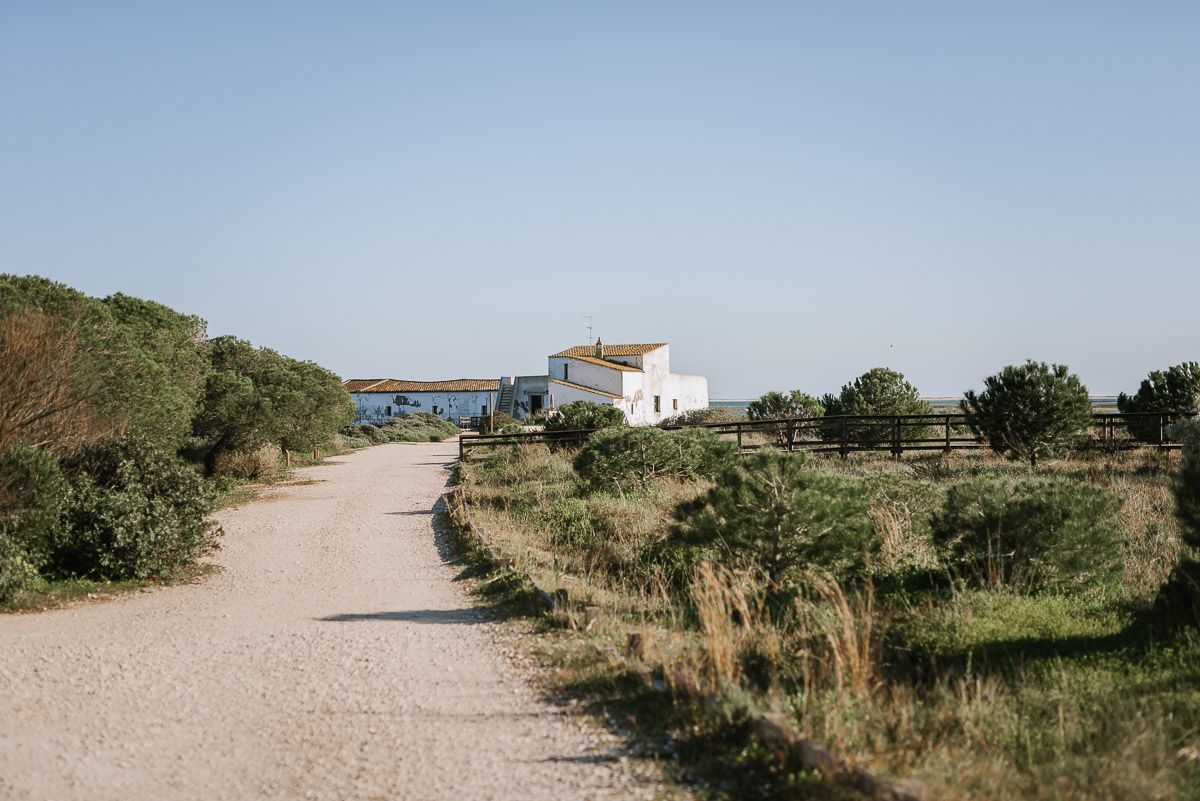 Cátia & Joaquim (gravidez)