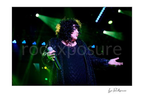 Horizontal color image of Ann Wilson holding a microphone during a Heart concert under vivid green stage lights