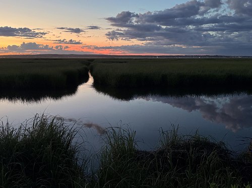 Shinnecock Bay wetland on a summer evening.