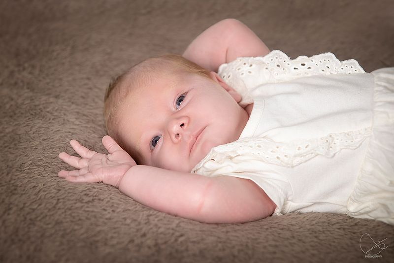 Knapstad Reksten Leknes