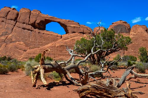 7 foot photographer, workshop tour in US, United States, arches national park, utah