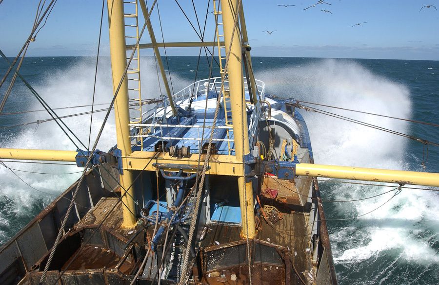 Project Visserij UK24