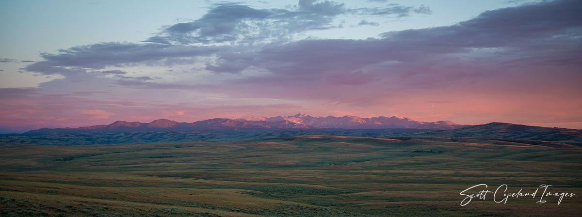 Aplineglow on the Southern Winds