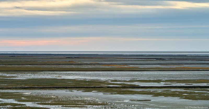 The Next Step (20 - 22 november 2026)