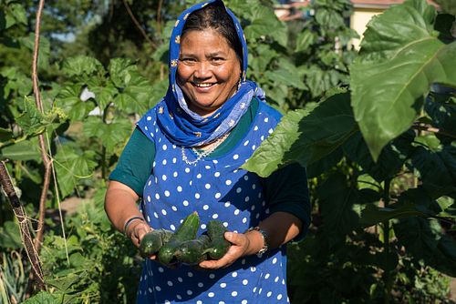 Im HEKS- Garten Burgdorf