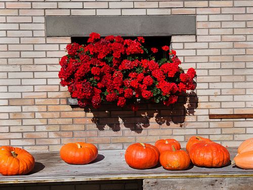 Kapelle Wilder Geschinen