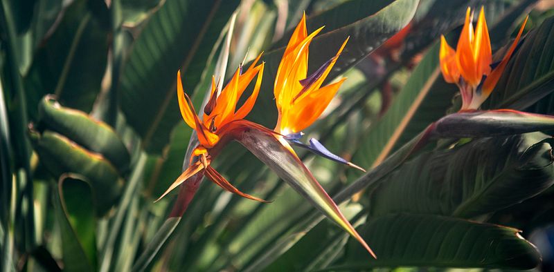 Ute på oppdrag tysdag