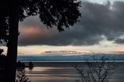 What is Internal Family Systems Therapy?