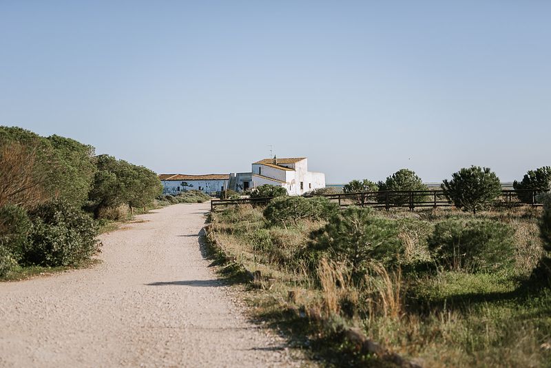 Cátia & Joaquim (gravidez)