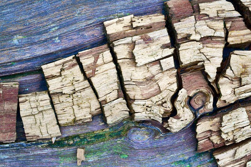 Abstracte natuurfotografie (4 juli 2026)