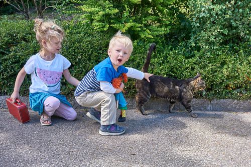 Kapelle Wilder Geschinen