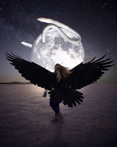 Crow Worm Moon