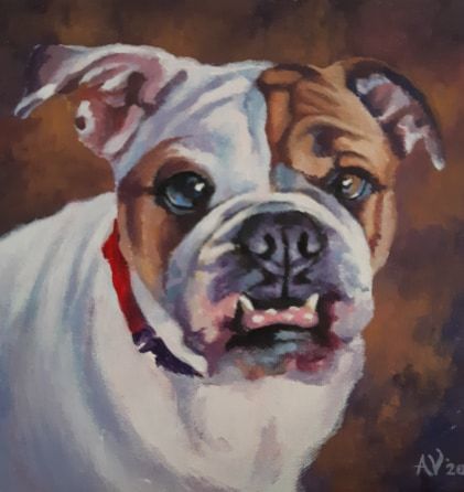 Bulldog portrait with soulful eyes and calm expression