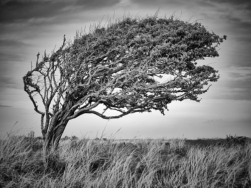 Scouting trip voor Denemarken/Jutland