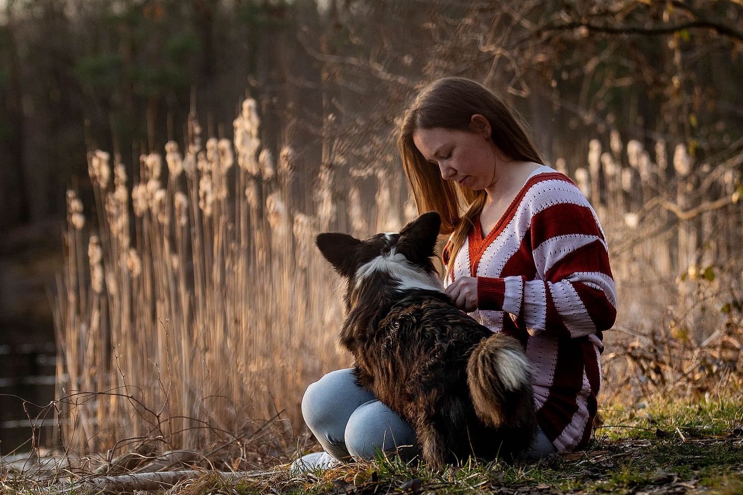 Hund mit Frau sitzend am Seeufer bei Sonnenuntergang in Br&uuml;hl- Iris Sauermann Fotografie