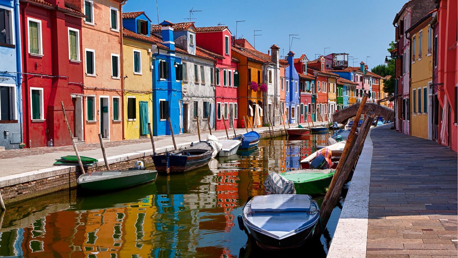 MIke Wiley Photography