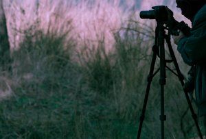 Better tips to use the TRIPOD