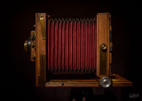 Portrait argentique &agrave; la chambre.