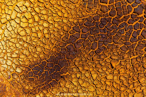 Toxischer, getrockneter Schlamm