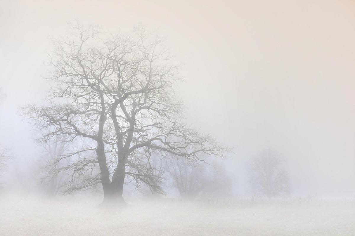 A Life in the Mist: Memory, Trauma & Self-Acceptance