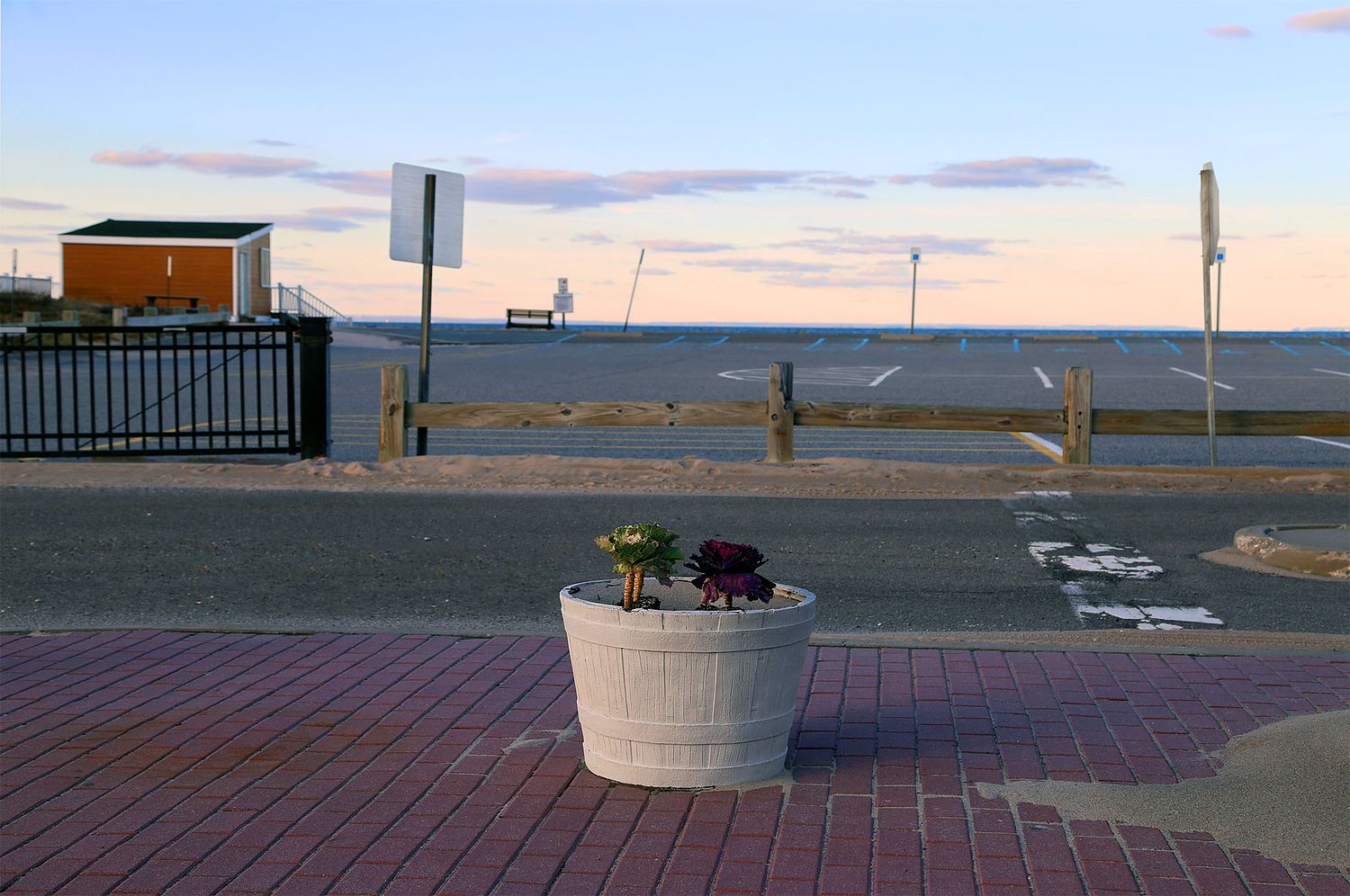 ALISON PERRY PHOTOGRAPHY