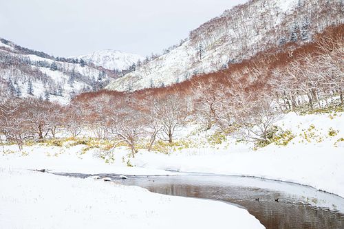 Winter landscape Hokkaido