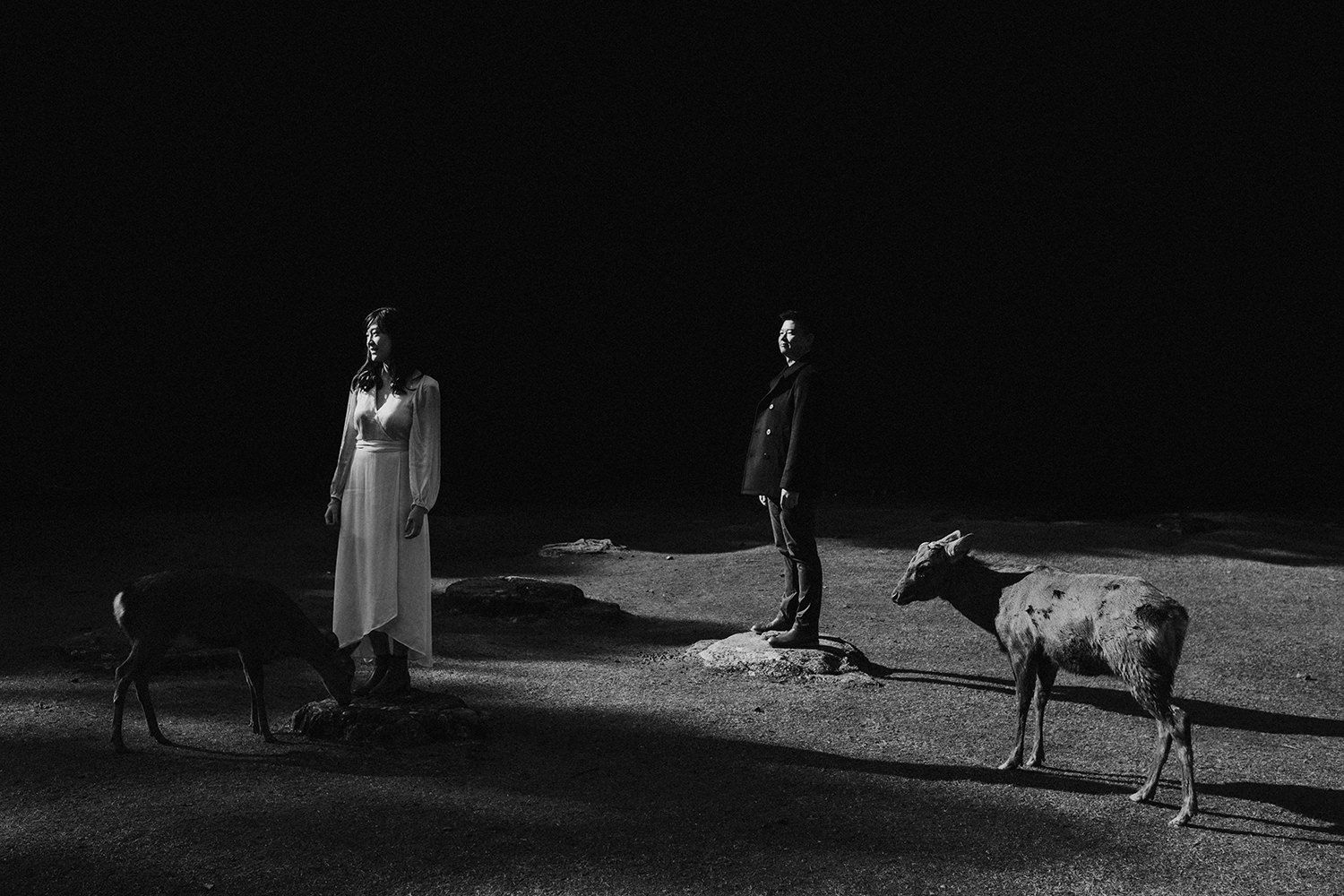 Funkydali Photography