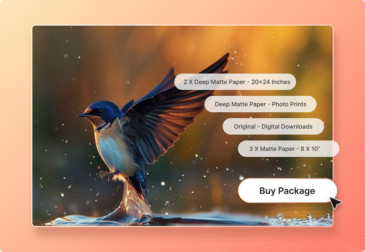 Boost image sales with print & digital packages