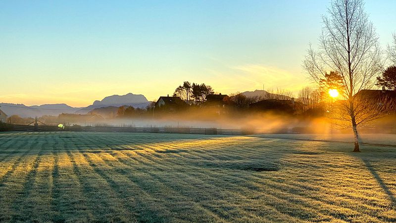 Måndag, 31. januar, er studioet stengt