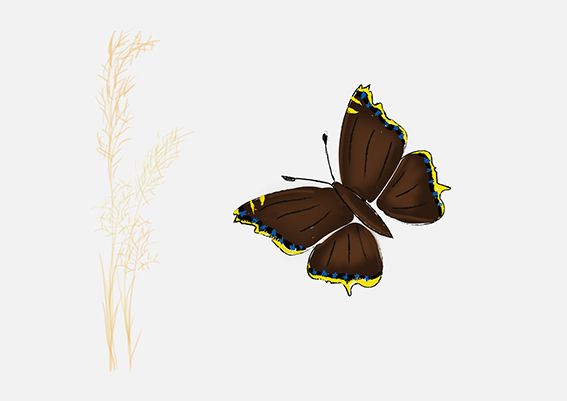 Studioet er stengt fredag 18. oktober