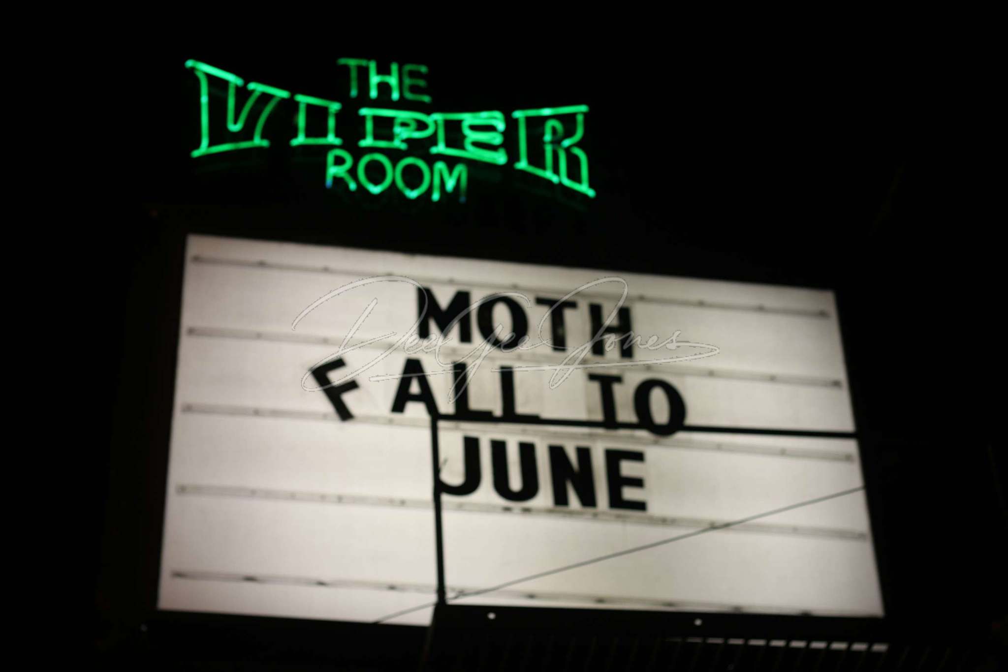 Moth