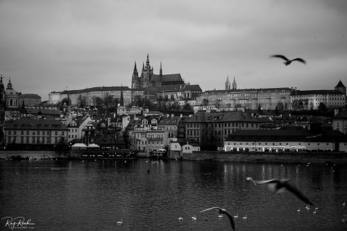 Early evening .. Prague Castle