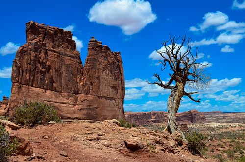 7 foot photographer, workshop tour in US, United States, arches national park, utah