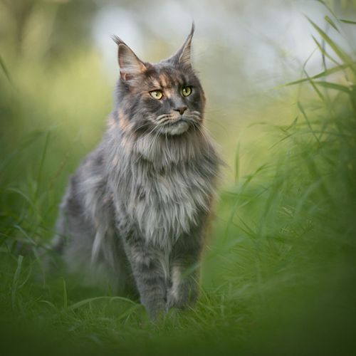 Hoe werkt een fotoshoot?