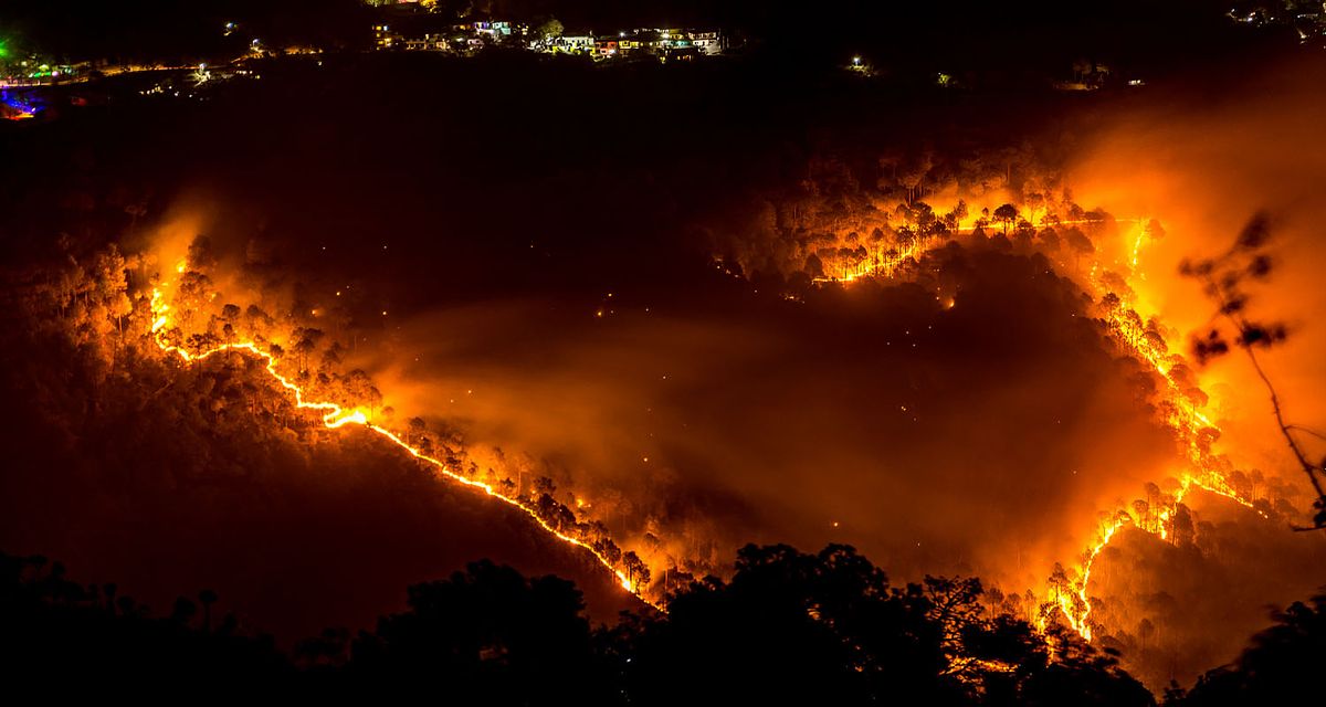 jungle, forest, fire, city,