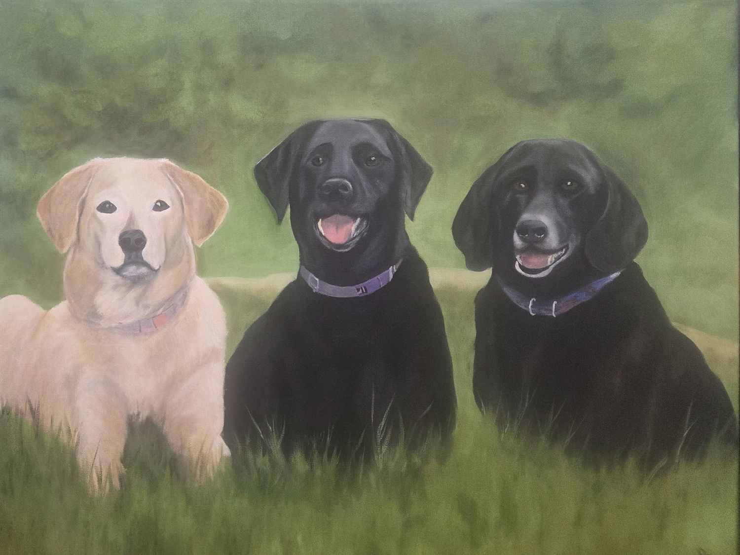 ANDERSON ANIMAL ART and More!