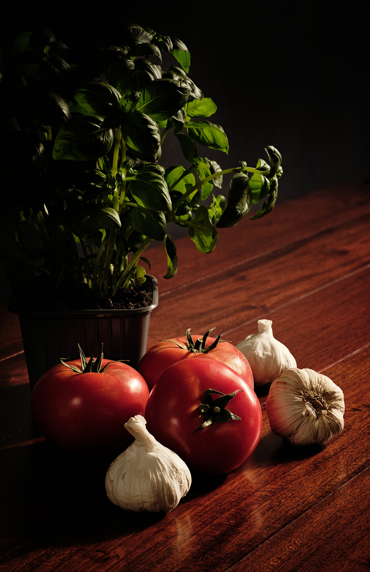 Three red tomatoes with garlic and a planter pot of fresh, live basil.