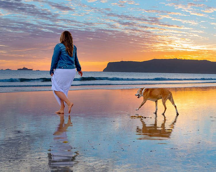 San-Diego-Dog-Photographer