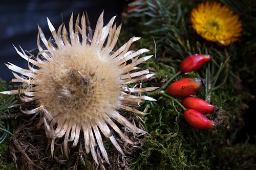 Adventskranzen kath. Pfarrei Burgdorf